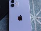 Apple iPhone 12 (Used)