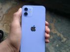 Apple iPhone 12 (Used)