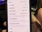 Apple iPhone 12 (Used)