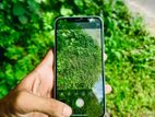 Apple iPhone 12 (Used)