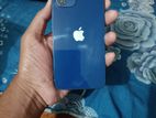 Apple iPhone 12 (Used)