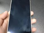Apple iPhone 12 (Used)