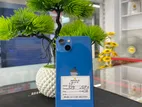 Apple iPhone 13 (128 ) CH (Used)
