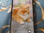 Apple iPhone 13 Pro ` (Used)