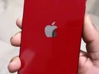 Apple iPhone 13 (Used)