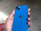 Apple iPhone 13 (Used)