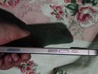 Apple iPhone 15 256 gb (Used)