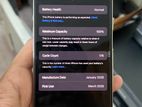 Apple iPhone 16 Pro Max (Used)