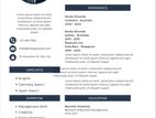 প্রফেশনাল Cv তৈরি