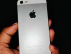 Apple iPhone 5 1/32 (Used)
