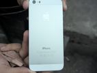 Apple iPhone 5 (Used)