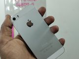 Apple iPhone 5S ৩২ জিবি (New)