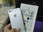 Apple iPhone 5S (Used)