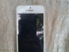 Apple iPhone 5S (Used)