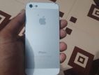 Apple iPhone 5S (Used)