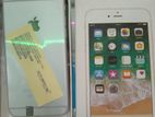 Apple iPhone 6 64 (New)