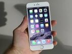 Apple iPhone 6 64 (Used)