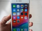 Apple iPhone 6 64GB (Used)