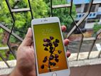 Apple iPhone 6 Plus . (Used)