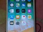 Apple iPhone 6 Plus (Used)