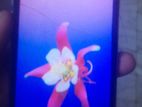 Apple iPhone 6 (Used)