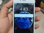 Apple iPhone 6 (Used)