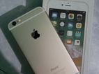 Apple iPhone 6 (Used)