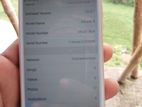 Apple iPhone 6S 2/64 (Used)