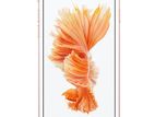 Apple iPhone 6S 64GB (New)