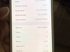 Apple iPhone 6S Plus (Used)