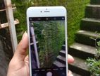 Apple iPhone 6S Plus (Used)