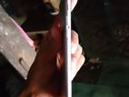 Apple iPhone 6S Plus (Used)