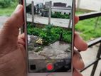 Apple iPhone 7 ১২৮ (Used)