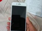 Apple iPhone 7 2021 (Used)