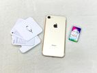 Apple iPhone 7 32GB Factory Unlock (Used)