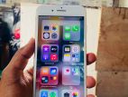 Apple iPhone 7 Plus 128GB (Used)