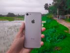 Apple iPhone 7 SR TOWFIK HASAN (Used)