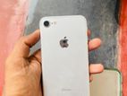 Apple iPhone 7 (Used)