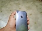 Apple iPhone 7 (Used)
