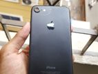 Apple iPhone 7 (Used)