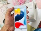 Apple iPhone 7 (Used)