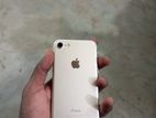 Apple iPhone 7 (Used)