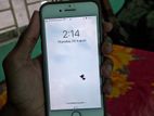 Apple iPhone 7 (Used)