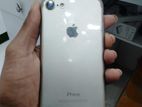 Apple iPhone 7 (Used)