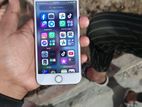 Apple iPhone 8 64 gb (Used)