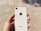 Apple iPhone 8 64gb (Used)