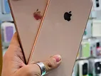 Apple iPhone 8 Plus 64 GB (Brand New)