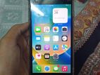 Apple iPhone 8 Plus (Used)