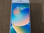 Apple iPhone 8 Plus (Used)