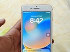 Apple iPhone 8 Plus (Used)